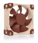 NOCTUA NF-A8 PWM Ventilador de 8 cm Marrón/Beige