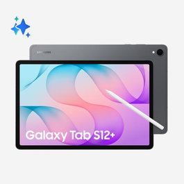 Samsung Galaxy Tab S12+ SM-X840NZAREUB 256 GB Gris