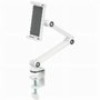 Neomounts DS15-545WH1 Soporte para Tableta con Abrazadera de Escritorio Blanco