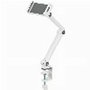Neomounts DS15-545WH1 Soporte para Tableta con Abrazadera de Escritorio Blanco