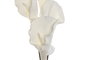 DKD Home Decor Flor EVA Blanco 20x8x103