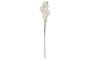 DKD Home Decor Flor EVA Blanco 20x8x103
