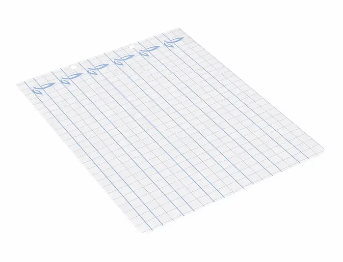 Liderpapel Recambio Cuarto Apaisado con Cuadrícula Pautada 8mm y Margen, 100 Hojas