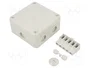 OBO BETTERMANN B 9/T Caja de conexiones IP67 gris claro