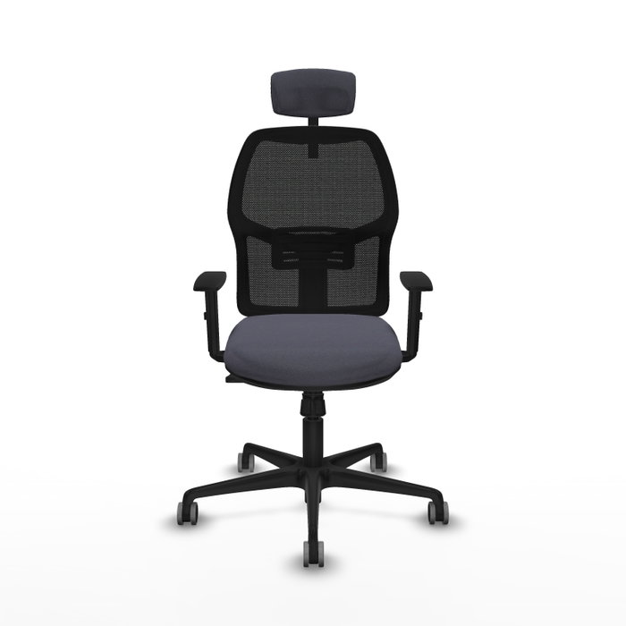 Silla de oficina Alfera con mecanismo Sincro tapizada con Tela color Gris oscuro y malla color Negro. Equipada con lumbar 1D, Brazos 1D, Cabecero 2D y Ruedas 65 mm parqué Silla de oficina Alfera con mecanismo Sincro tapizada con Tela color Gris oscuro y malla color Negro. Equipada con lumbar 1D, Brazos 1D, Cabecero 2D y Ruedas 65 mm parqué