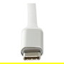Level One USB-0402 Adaptador USB-C a RJ45 Gigabit Ethernet 10/100/1000 Mbps, 0.15m, Plata Blanco