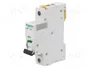 SCHNEIDER ELECTRIC iC60N Interruptor magnetotérmico 63A 1P Característica C