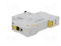 SCHNEIDER ELECTRIC iC60N Interruptor magnetotérmico 63A 1P Característica C