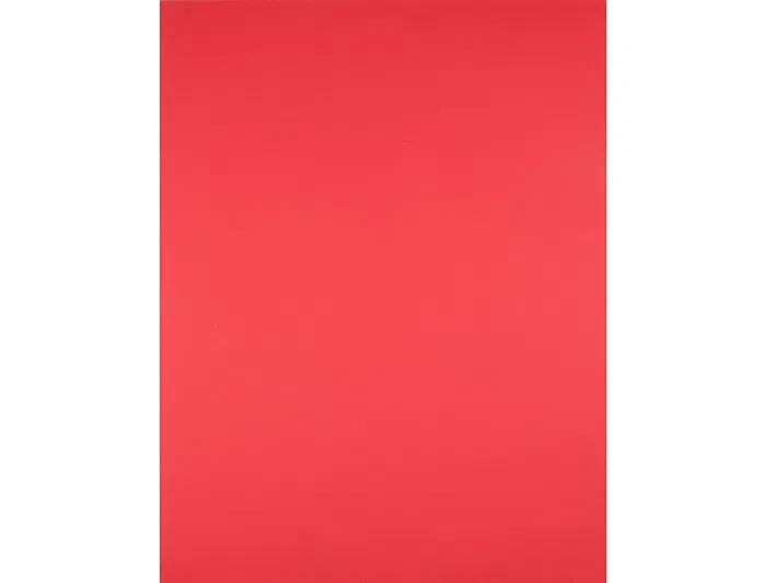 Liderpapel Cartulina 50x65 cm 180g/m2 Rojo 125 Hojas para Dibujo y Manualidades