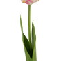 Flor Tulipán Rosa Tejido Decoración 63 cm (Set de 12)