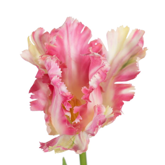 Flor Tulipán Rosa Tejido Decoración 63 cm (Set de 12)