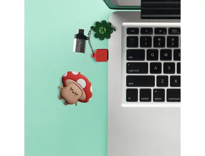 Wondee Mr. Wonderful Llavero USB Seta 32GB Pendrive Compatible con Windows, macOS, Linux y Adaptador USB C