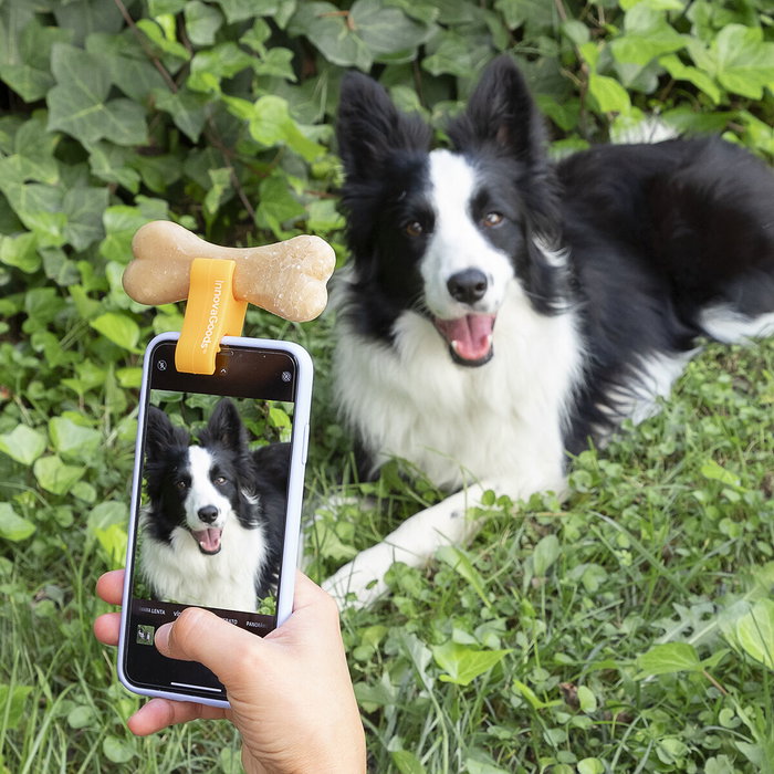 Pack Clip de Selfies para Mascotas y Fuente para Mascotas InnovaGoods