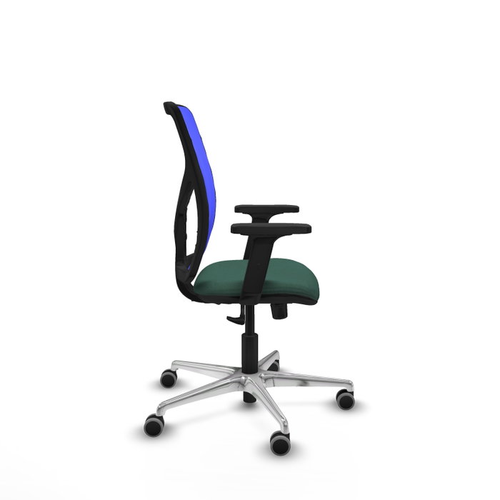PIQUERAS Y CRESPO Silla de oficina Motilla con mecanismo Sincro, Verde botella y Azul PIQUERAS Y CRESPO Silla de oficina Motilla con mecanismo Sincro, Verde botella y Azul