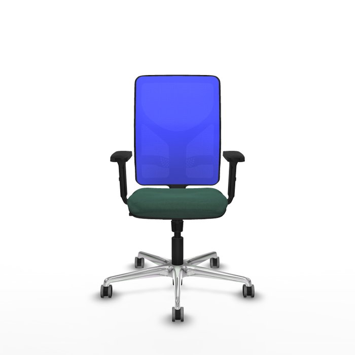 PIQUERAS Y CRESPO Silla de oficina Motilla con mecanismo Sincro, Verde botella y Azul PIQUERAS Y CRESPO Silla de oficina Motilla con mecanismo Sincro, Verde botella y Azul