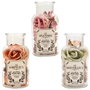 Home Deco Factory Frasco Popurrí Perfumado Colección Natural Vidrio/Cristal Máquina