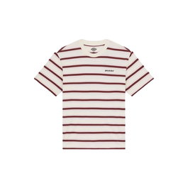 Camiseta de Manga Corta Hombre Dickies York Stripe Ss Blanco 14-16 Años