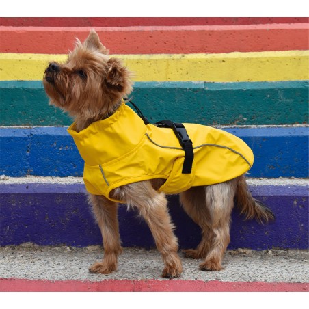 Nayeco Impermeable London Amarillo para Perro, Color Amarillo, 20 cm