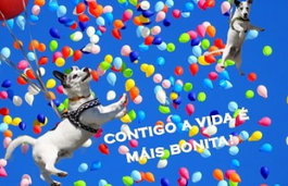 Contigo a vida é máis bonita (Postal), VV.AA - FACSIMILE