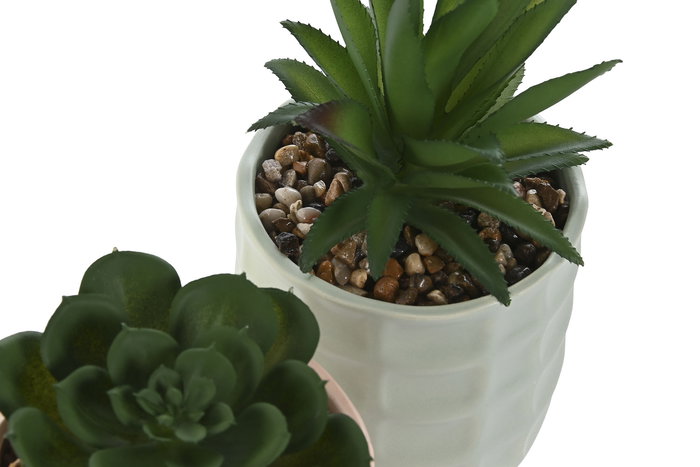 DKD Home Decor Planta Beige Verde 10 x 20 x 10 cm (12 Unidades)