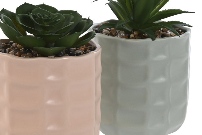 DKD Home Decor Planta Beige Verde 10 x 20 x 10 cm (12 Unidades)