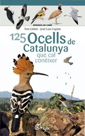 125 OCELLS DE CATALUNYA QUE CAL CONEIXER, Toni Llobet; José Luis Copete - COSSETANIA EDICIONS