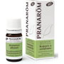 PRANAROM Aceite esencial de Romero QT Verbenona BIO 5ml