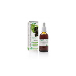 SORIA NATURAL Extracto de Grosellero Negro Fórmula XXI 50 ml