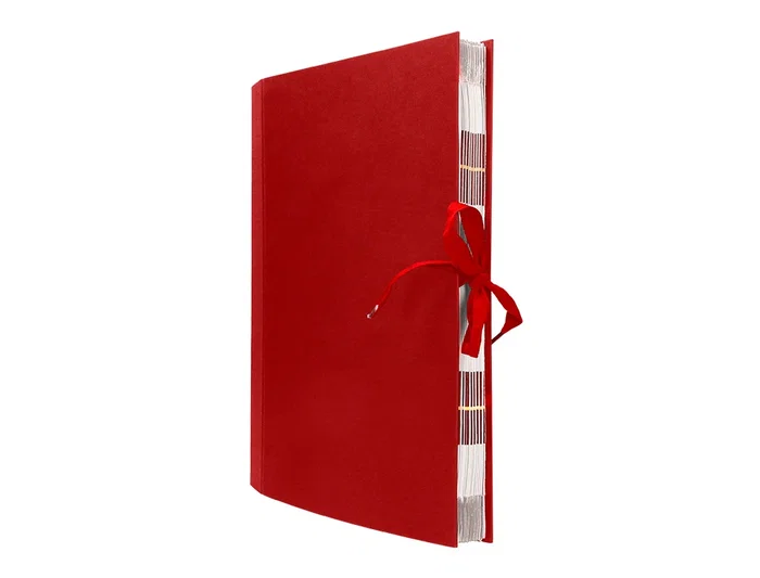 Liderpapel Carpeta Fuelle Folio Cartón Forrado Burdeos 20 Departamentos 220x350x300 mm