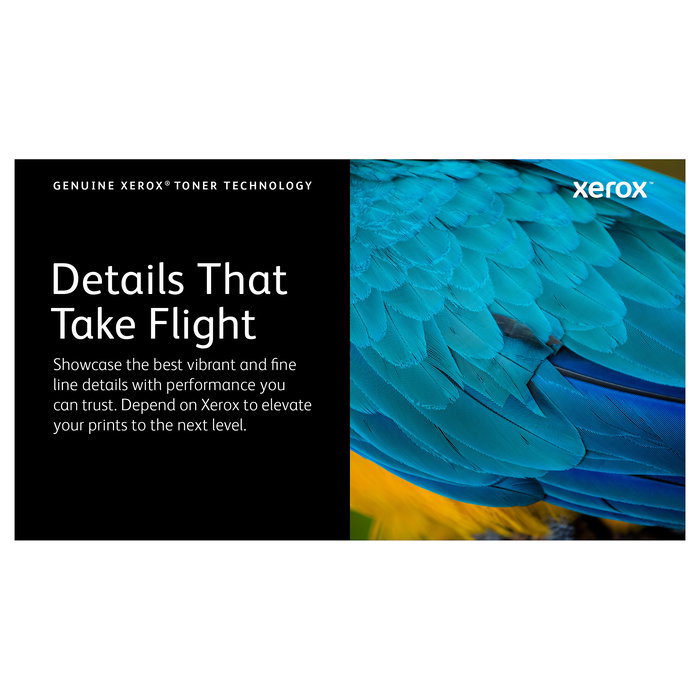 Xerox 106R03940 Cartucho de Tóner Negro VersaLink B600, B605, B610, B615 (10.300 páginas)