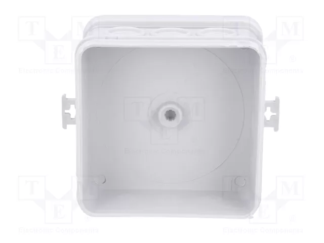 ELEKTRO-PLAST NASIELSK Caja de conexiones IP55 gris