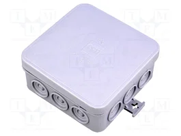 ELEKTRO-PLAST NASIELSK Caja de conexiones IP55 gris