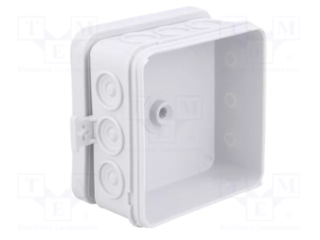 ELEKTRO-PLAST NASIELSK Caja de conexiones IP55 gris