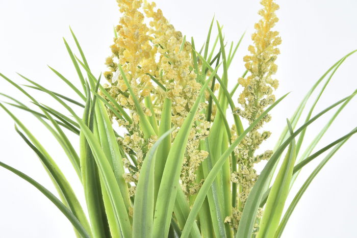 DKD Home Decor Planta Amarillo Blanco 9 x 21 x 9 cm (12 Unidades)