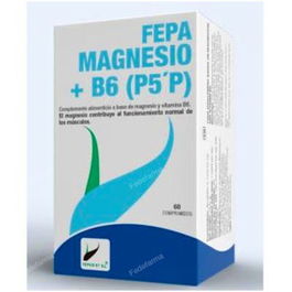 FEPADIET Magnesio + B6 60 Cap. | Contribuye a la función muscular, sistema nervioso y reduce el cansancio. Con Vitamina B6.