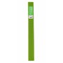 CANSON - GUARRO Paquete de 10 rollos continuos de papel crepé verde primavera 50x250cm 32g