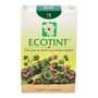 ECOTINT Rubio Cobrizo tinte para cabello