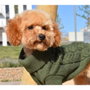 Nayeco Jersey Punto Trenza Verde 50 cm