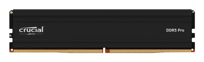 Crucial Pro CP24G56C46U5 24 GB DDR5 5600 MHz Low Profile DIMM Crucial Pro CP24G56C46U5 24 GB DDR5 5600 MHz Low Profile DIMM