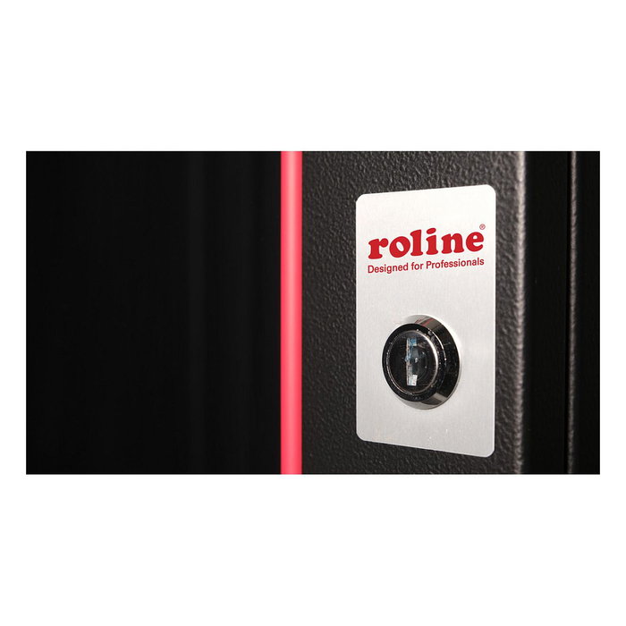 ROLINE 26.21.0174 Bastidor de Pared Rack 19" 12U Negro 600x450 mm Profundidad con Puerta de Vidrio y Rieles