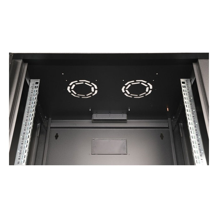 ROLINE 26.21.0174 Bastidor de Pared Rack 19" 12U Negro 600x450 mm Profundidad con Puerta de Vidrio y Rieles