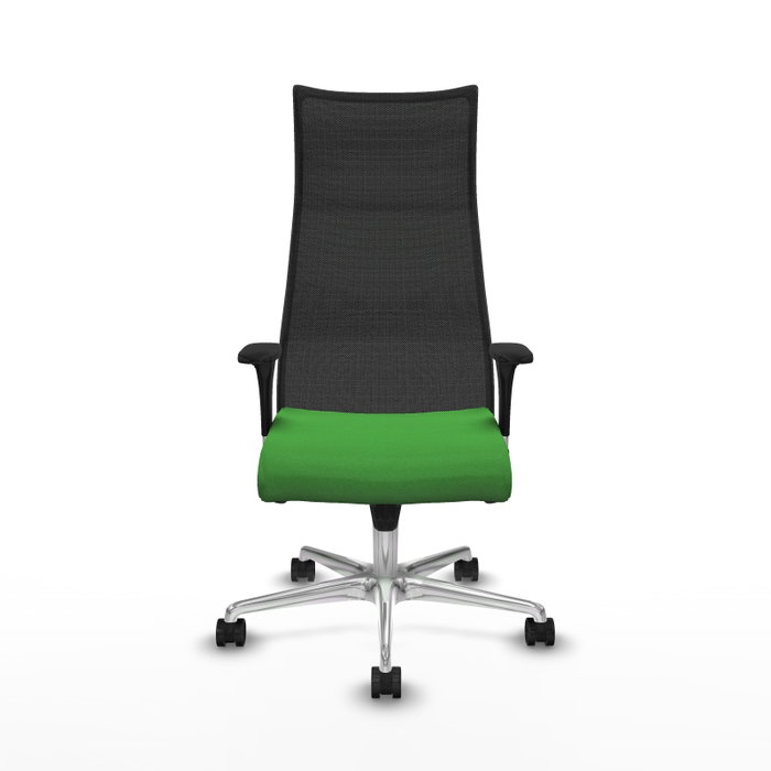 Sillón Albacete con mecanismo Sincro tapizada con Tela color Verde y malla color Negro. Equipado con Base aluminio, Brazos 1D y Ruedas 65mm nailon Sillón Albacete con mecanismo Sincro tapizada con Tela color Verde y malla color Negro. Equipado con Base aluminio, Brazos 1D y Ruedas 65mm nailon