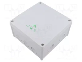 Günther Spelsberg Abox 100-L IP66