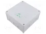 Günther Spelsberg Abox 100-L IP66