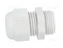 FIBOX Sello aislante PG11 IP68