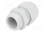 FIBOX Sello aislante PG11 IP68