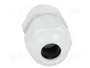 FIBOX Sello aislante PG11 IP68