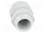 FIBOX Sello aislante PG11 IP68