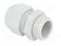 FIBOX Sello aislante PG11 IP68
