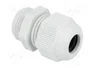 FIBOX Sello aislante PG11 IP68